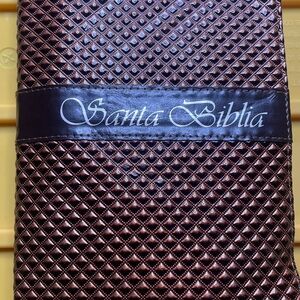 SANTA BIBLIA-RVR 1960 (SPANISH EDITION) By United Bible Societies